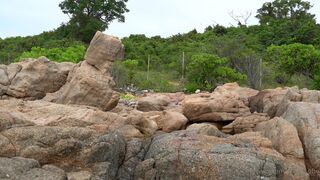 sofie_sofie understega