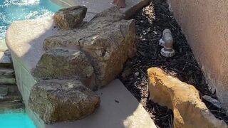 madisonmorgan petite hottie passionately jerks off her cunt