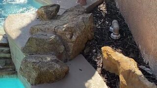 madisonmorgan 25 November 2020