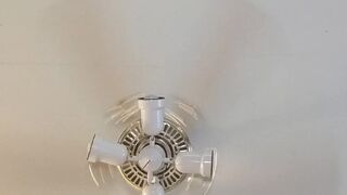 bigtittygothegg Busty Curva