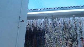 ella_xo gorgeous ladies twirl tight ass