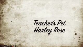 Helloharley  amused with the toy