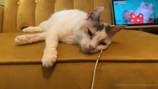 Fiona Hyacinth  Mischievous wench