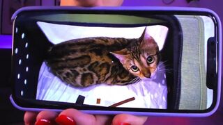 prettyalison charming babe poses nude in front of the webcam