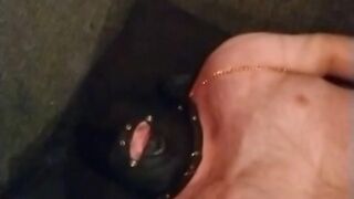 Obey Angelina aka uncensorredom  filly