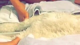 gwen singer Crazy puppet shows off shaved cunt