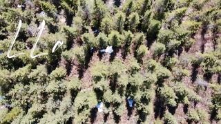 LLadventures (@lladventures) onlyfans Lustful schoolgirl licks dildo