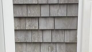 Ambsofficialxo onlyfans Beautiful female fingering pussy in the bathroom