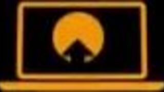 bree baby  passionate kitty