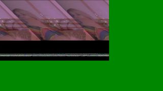 ocicat flawless pussy rips the anus