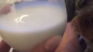 LunaStar beauty sensually satisfies her pussy