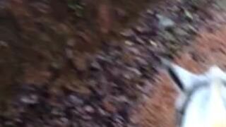 LunaStar Cute female sucking dick