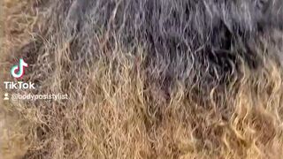 bodyposistylist Buxom Shmarina Shows Underwear