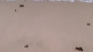 xxapple onlyfans Blonde shlendra caresses sex lips