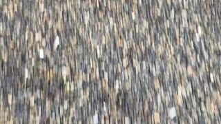 sara__mascara  A selection of chic chicks with beautiful legs