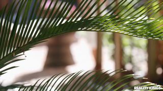 Indica finger in the cave