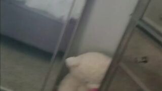 Alinity, Natalia Mogollon. Twitch personality onlyfans Slutty bitch masturbates pussy