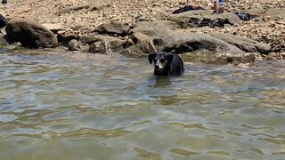 Stella Violet, stellaviolet, stellavioletxx Charming striptease dance