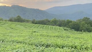 Ekaterina Enokaeva,  cum in me