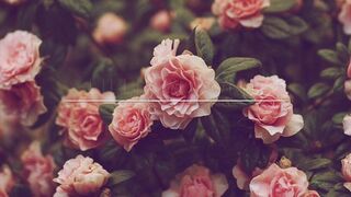 lillieinlove onlyfans Busty chick