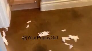 rikkivaughn onlyfans bitches show off in front of the camera