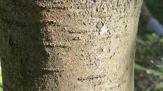 Anna aka arilaviee onlyfans Gallant chika twisted holes