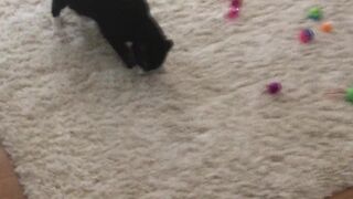 Anna Bell Peaks (AnnaBellPeaks) onlyfans Pretty girl masturbates cap