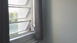 Visceratio planting toys in both holes