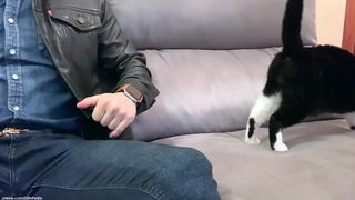 Lilith_Petite extravagant babe blissfully bangs holes