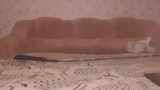 RedFoxxys blissful quit performed  private  with a toy