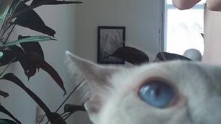 pantieprincess23 onlyfans Beauty plays with big lips