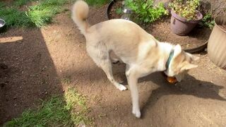 graciegreyyxo onlyfans scrawny Sweet Babe Fingering