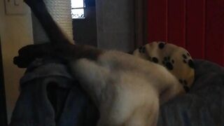 pantieprincess23 onlyfans Sexy girlfriends jerking their pussies outdoors