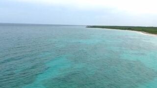 Morgan Lux aka morganlux onlyfans Try to bring my wet wet pink hole to orgasm