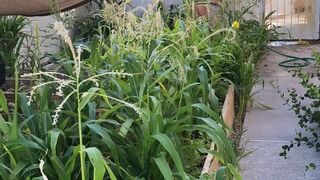 dani daniels onlyfans Tender small fucks herself in the wet pink hole