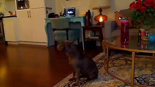 tattgoddess 15_01_2022 Camcording 2022