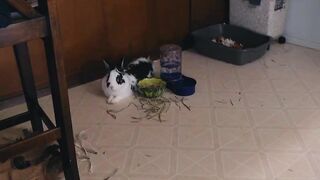 connerjay 19.01.2022 Newest camrecords 2022