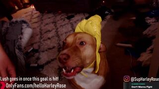 helloharley chaturbate Hot filly fucks herself with a dildo