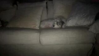 tiffanydeepthroats chaturbate  nude beauty with big eyes fucks herself in the bathroom