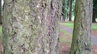 Embersnow onlyfans 9 March 2022 webcam masturbation