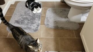 Embersnow onlyfans 13_02_2022 Newest from chaturbate Porn 2022