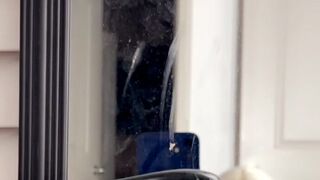 Alyssa Devyn aka alyssa9 aka alyssadevyn onlyfans 13 january 2022 Newest from chaturbate Camshow Porn