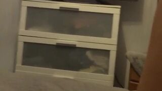 Zarax Yasmine aka zaraxyazmin onlyfans 24 january 2022 Newest from chaturbate show