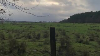 Pixei onlyfans 13-02-2022 stream Porn 2022