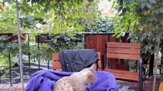 kristymack chaturbate 29 january 2022 stream Porn 2022