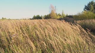 Angel aka littleangelph onlyfans  gorgeous ass in thong