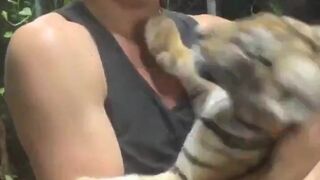 bwctravelvids onlyfans Busty young lady fucks pussy with phallus