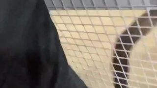 bwctravelvids onlyfans 7-03-2022 performance Latest May from chaturbate Camshow Porn