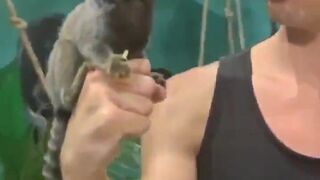 bwctravelvids onlyfans Naughty baby cock having fun with sex toy