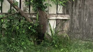 moonandstars713 onlyfans 16 February 2022 Full ticket show